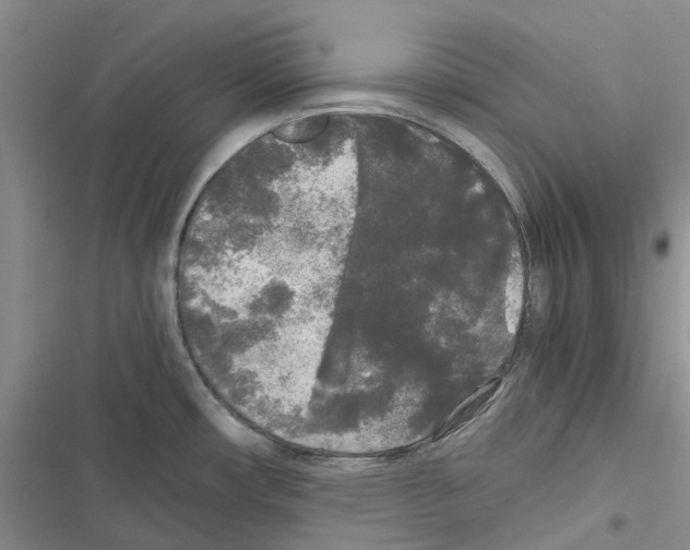 X0000116441482201001191521