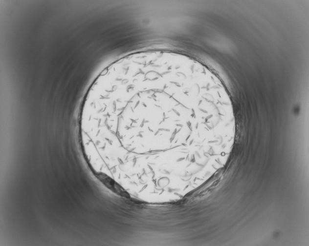 X0000116441483201001191521