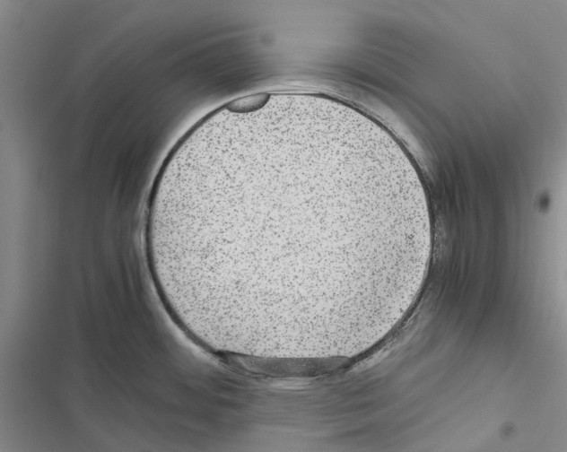 X0000116441484201001191521