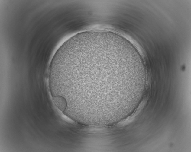 X0000116441486201001191521