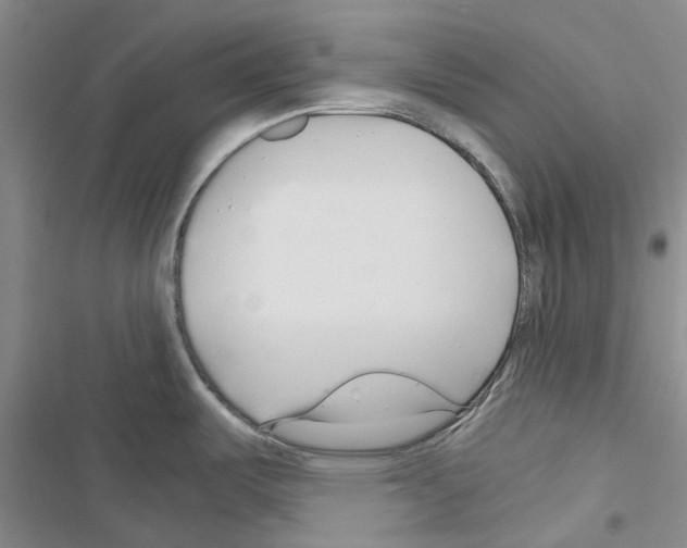 X0000116441487201001191521