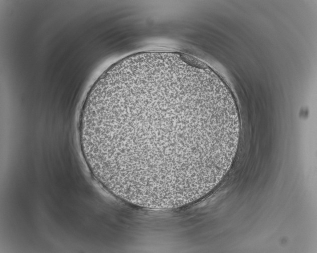 X0000116441488201001191521