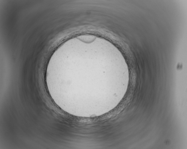 X0000116441489201001191521