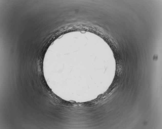 X0000116441490201001191521