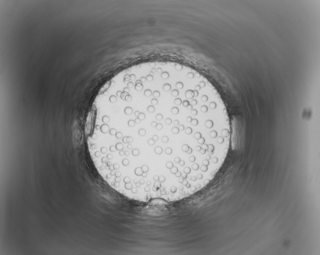 X0000116441491201001191521