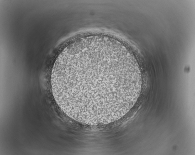 X0000116441494201001191521