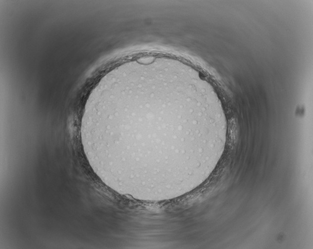 X0000116441495201001191521