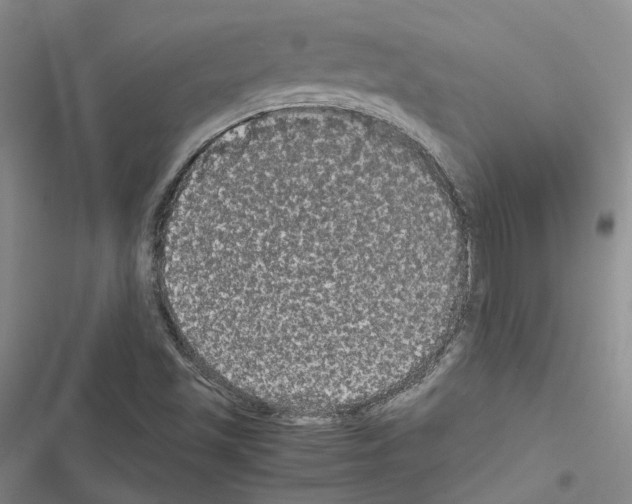 X0000116441501201001191521