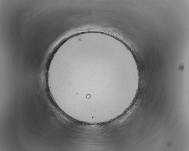 X0000116441502201001191521