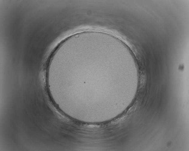 X0000116441503201001191521