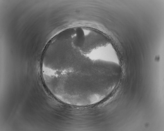 X0000116441505201001191521