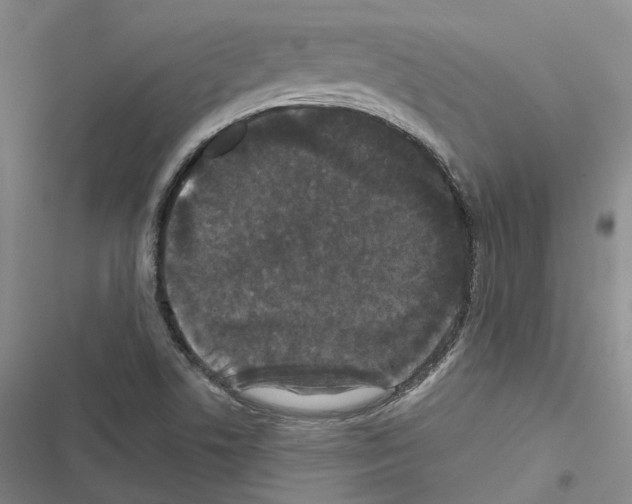 X0000116441506201001191521