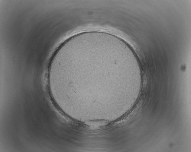 X0000116441507201001191521