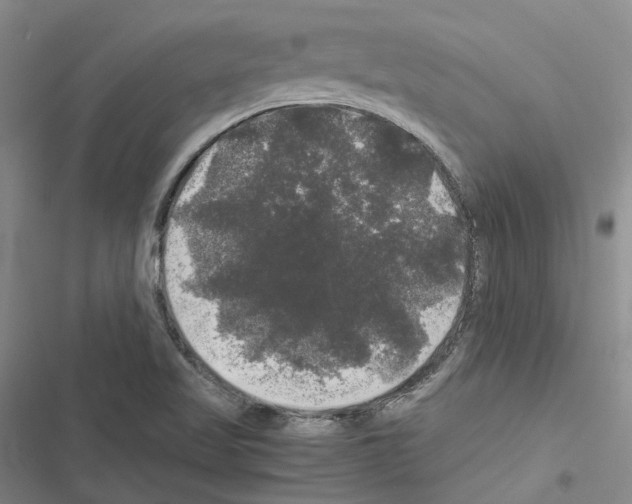 X0000116441509201001191521