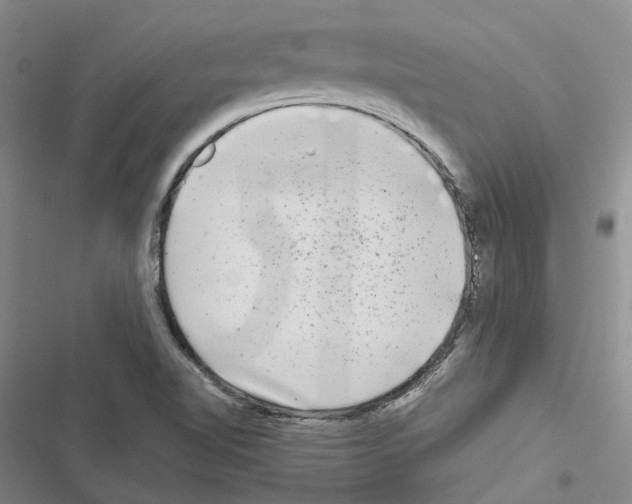 X0000116441510201001191521