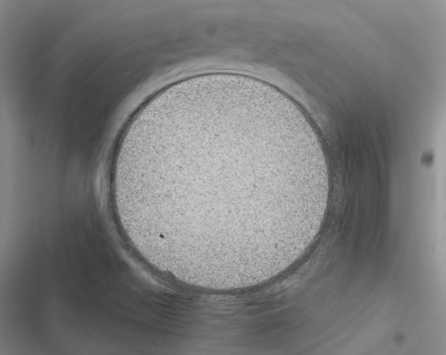 X0000116441511201001191521