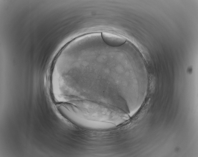 X0000116441515201001191521