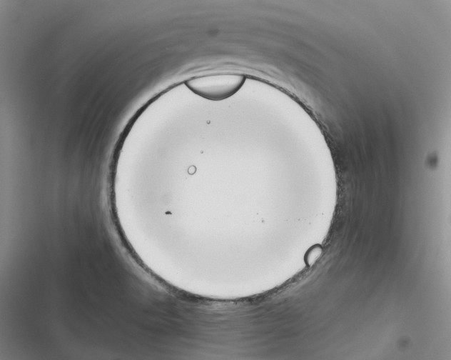 X0000116441518201001191521