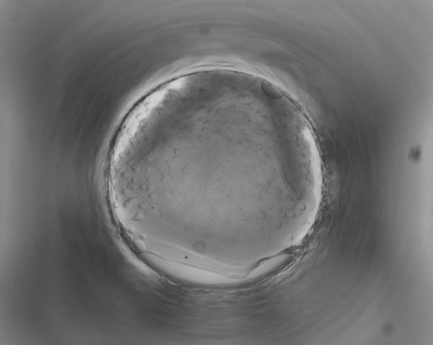 X0000116441519201001191521