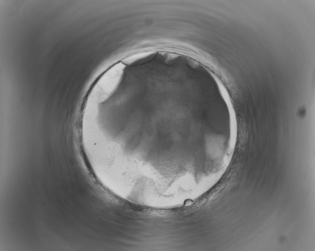 X0000116441522201001191521