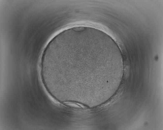 X0000116441523201001191521