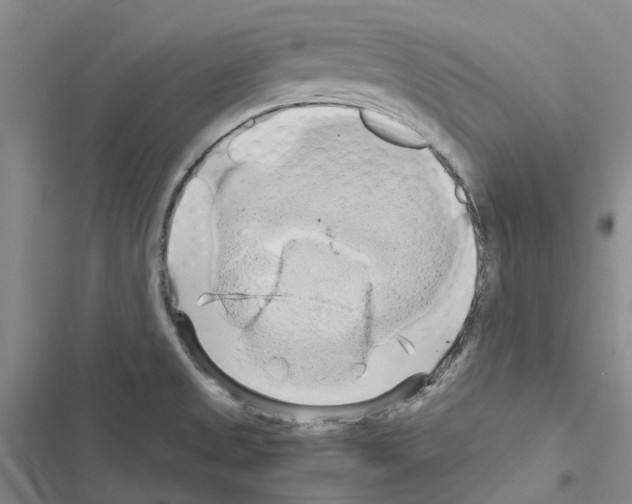 X0000116441525201001191521