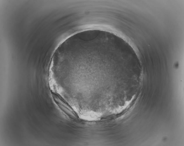 X0000116441529201001191521