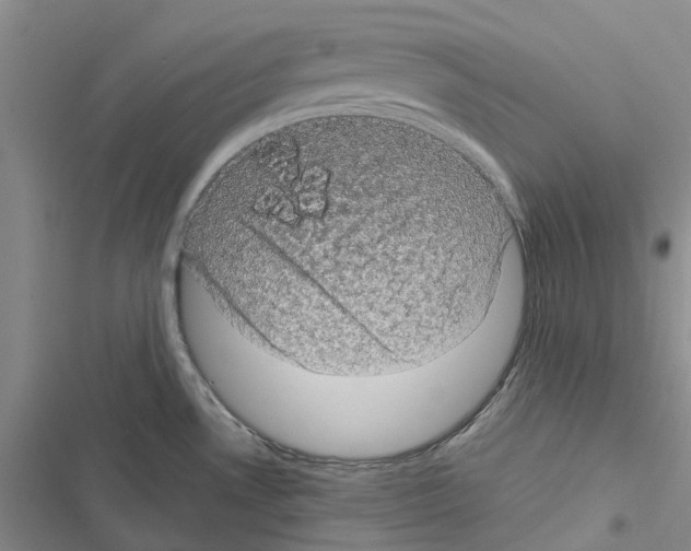 X0000116441530201001191521