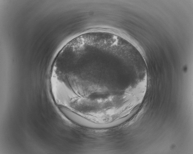 X0000116441533201001191521