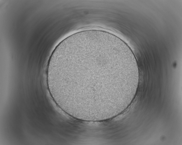 X0000116441534201001191521