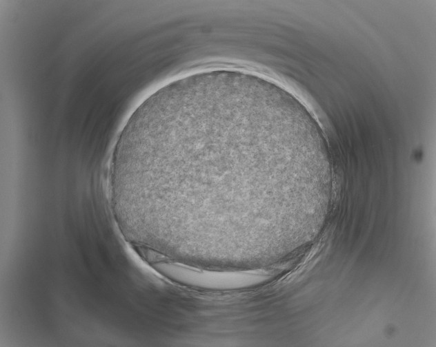 X0000116441535201001191521