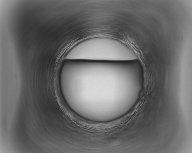 X0000116450001200912081423