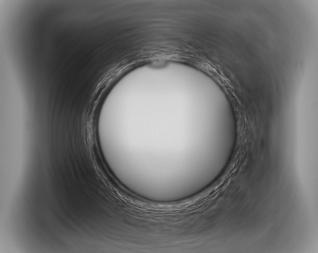 X0000116450002200912081423