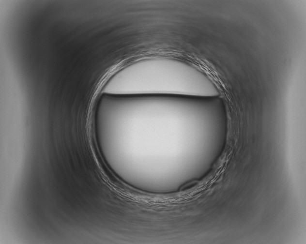 X0000116450003200912081423