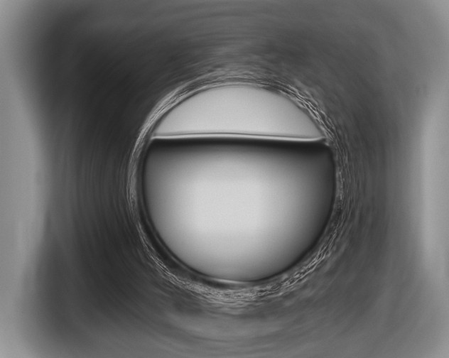 X0000116450004200912081423