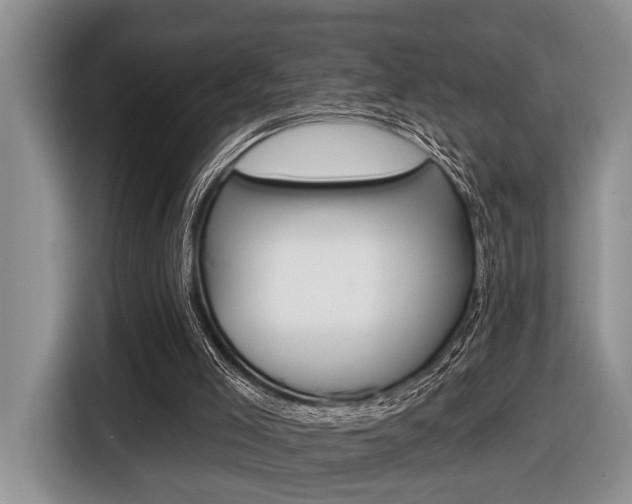 X0000116450005200912081423