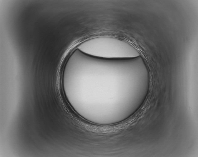 X0000116450006200912081423
