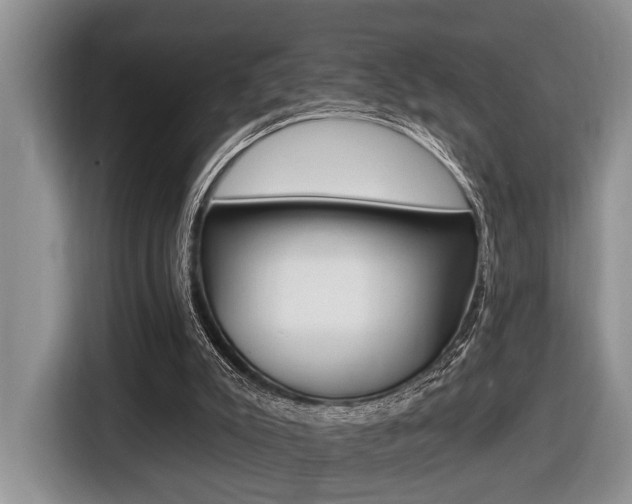 X0000116450007200912081423