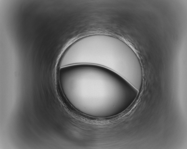 X0000116450008200912081423