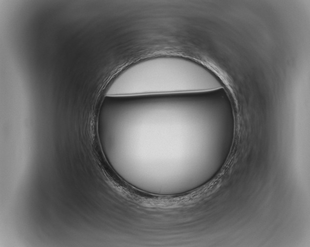 X0000116450009200912081423
