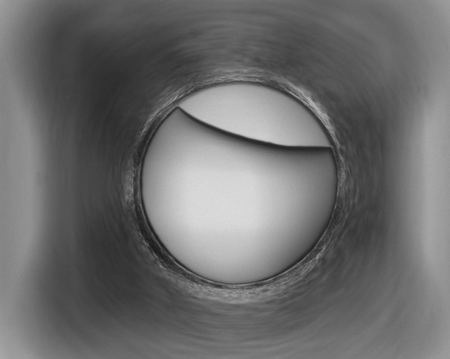 X0000116450010200912081423