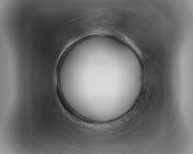 X0000116450011200912081423