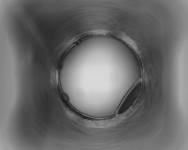 X0000116450013200912081423