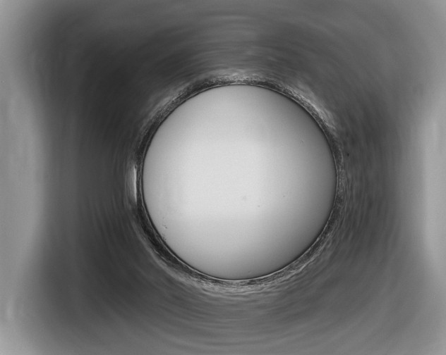X0000116450014200912081423