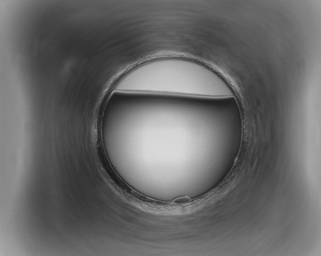 X0000116450015200912081423