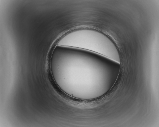 X0000116450016200912081423