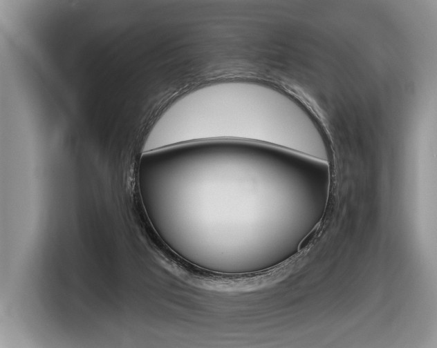 X0000116450017200912081423