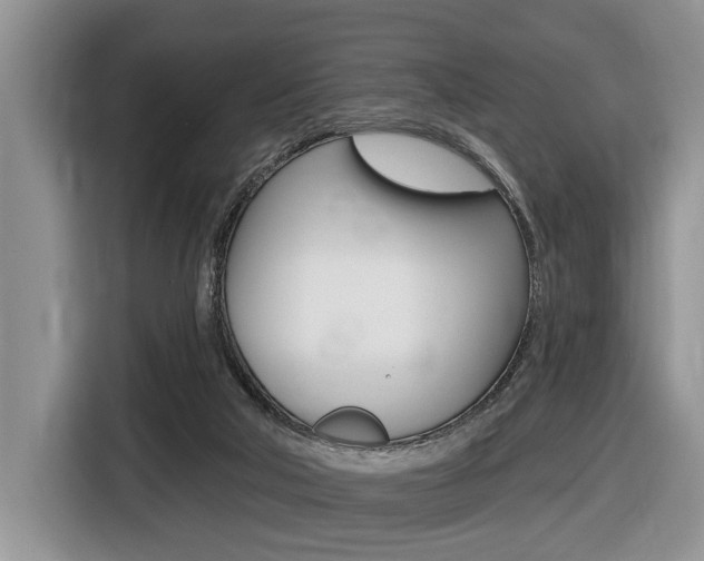 X0000116450018200912081423
