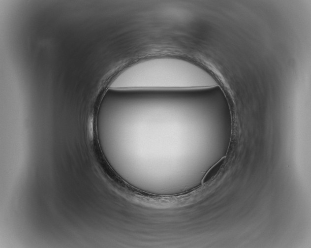 X0000116450019200912081423