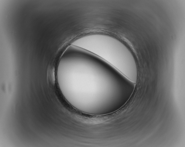 X0000116450020200912081423